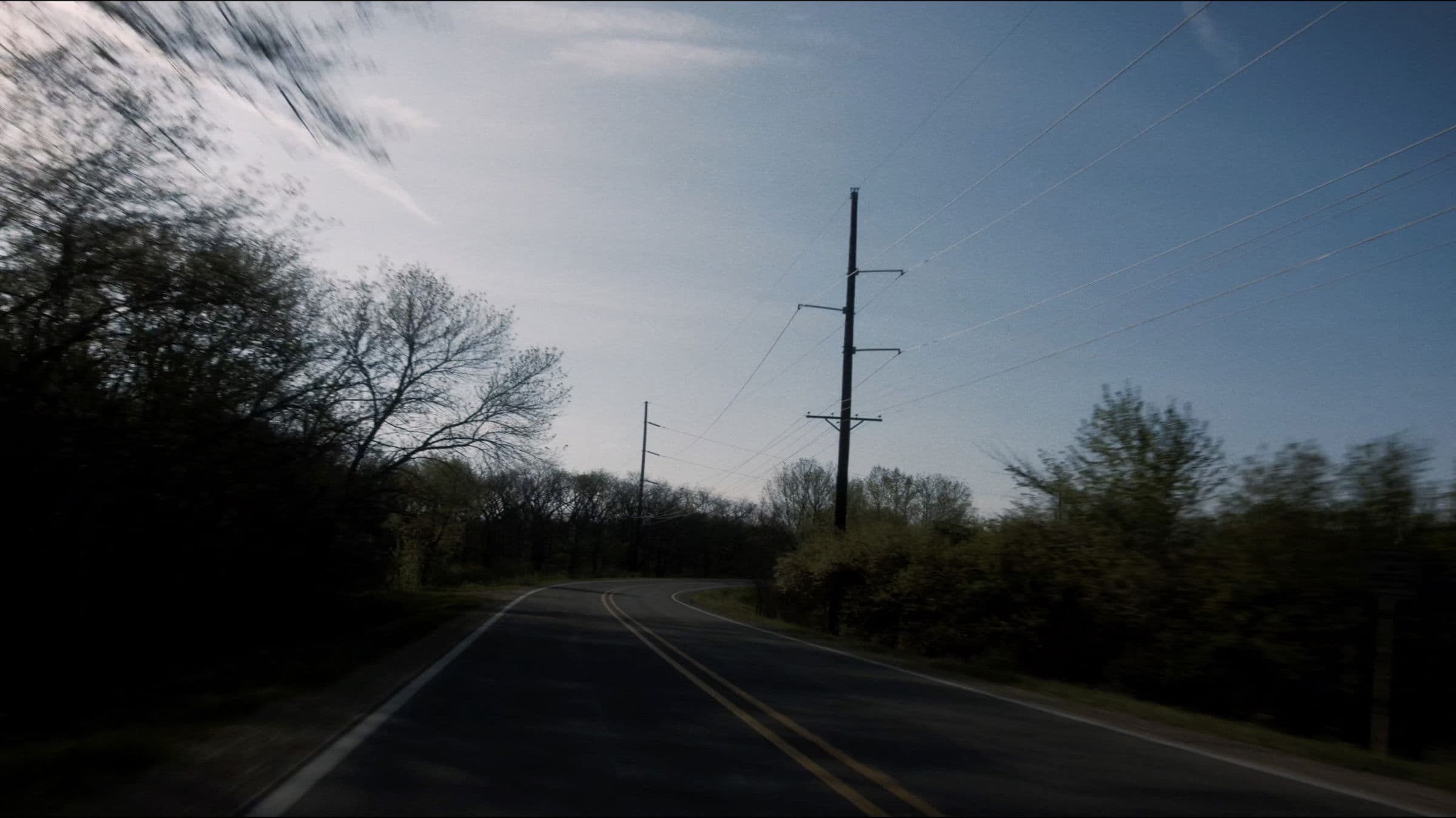 Poster backdrop for Grizzly