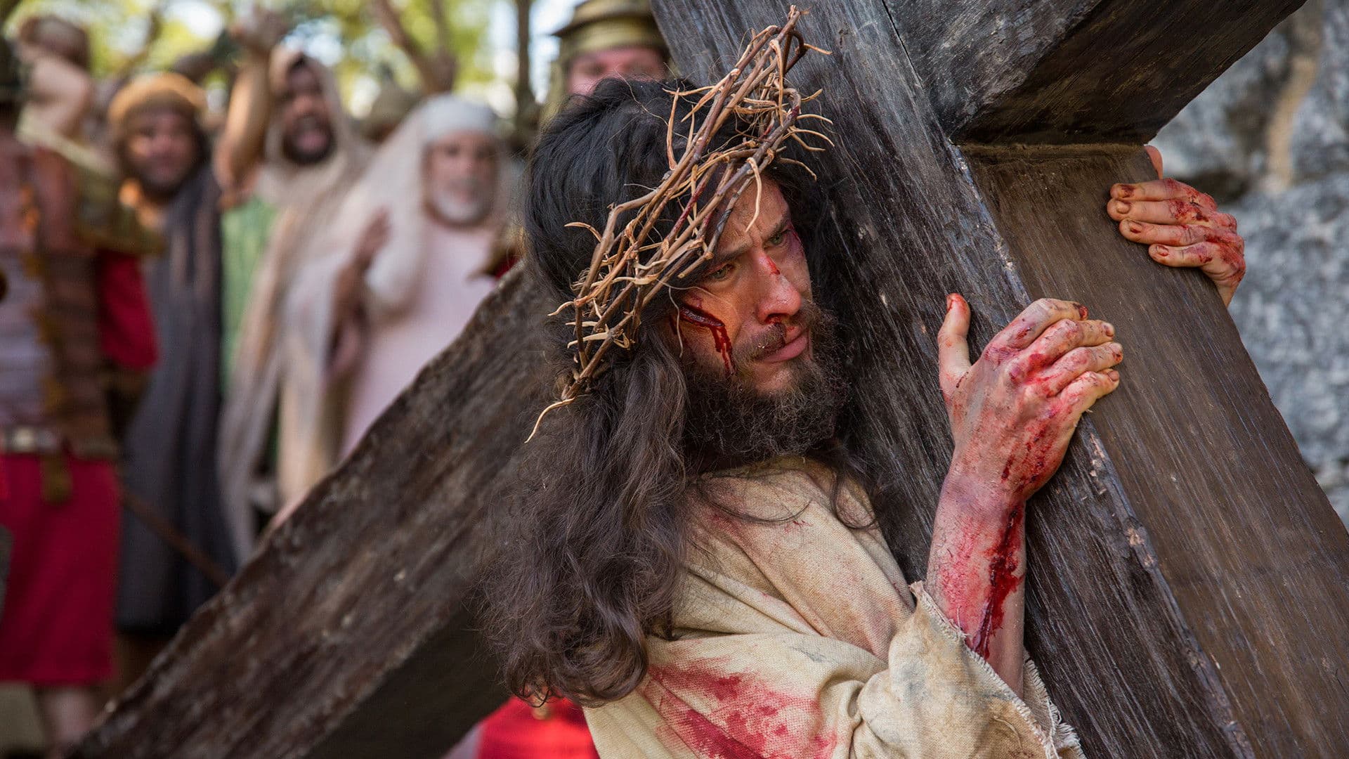 Poster backdrop for O Filho do Homem