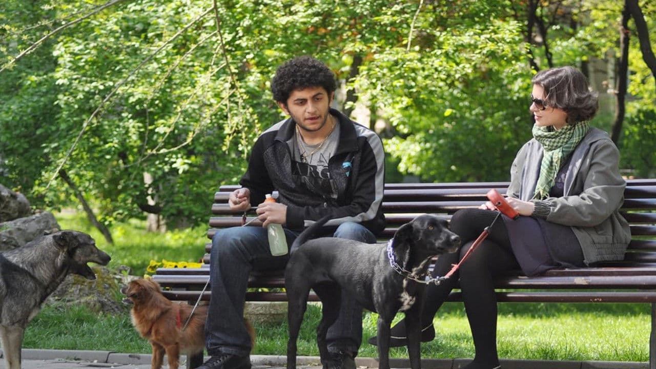 Poster backdrop for Lord