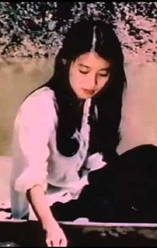 Poster backdrop for The Birds Sang in a Tranquil Place