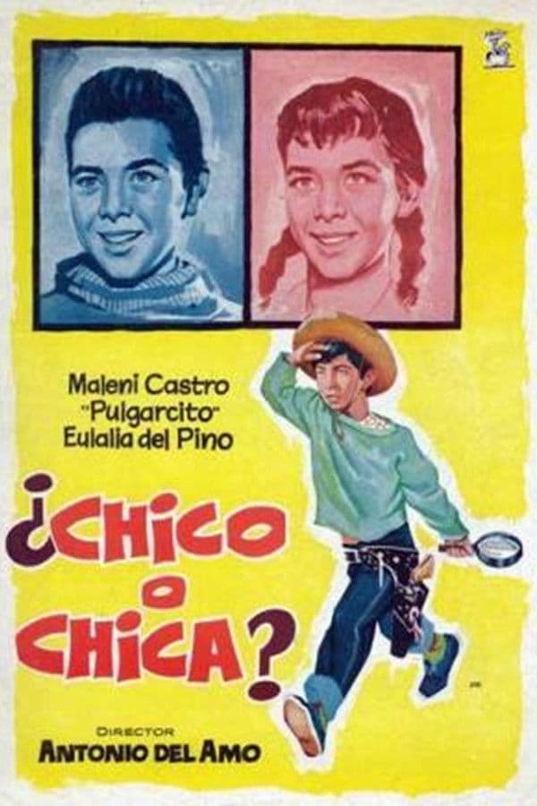 Poster backdrop for ¿Chico o chica?