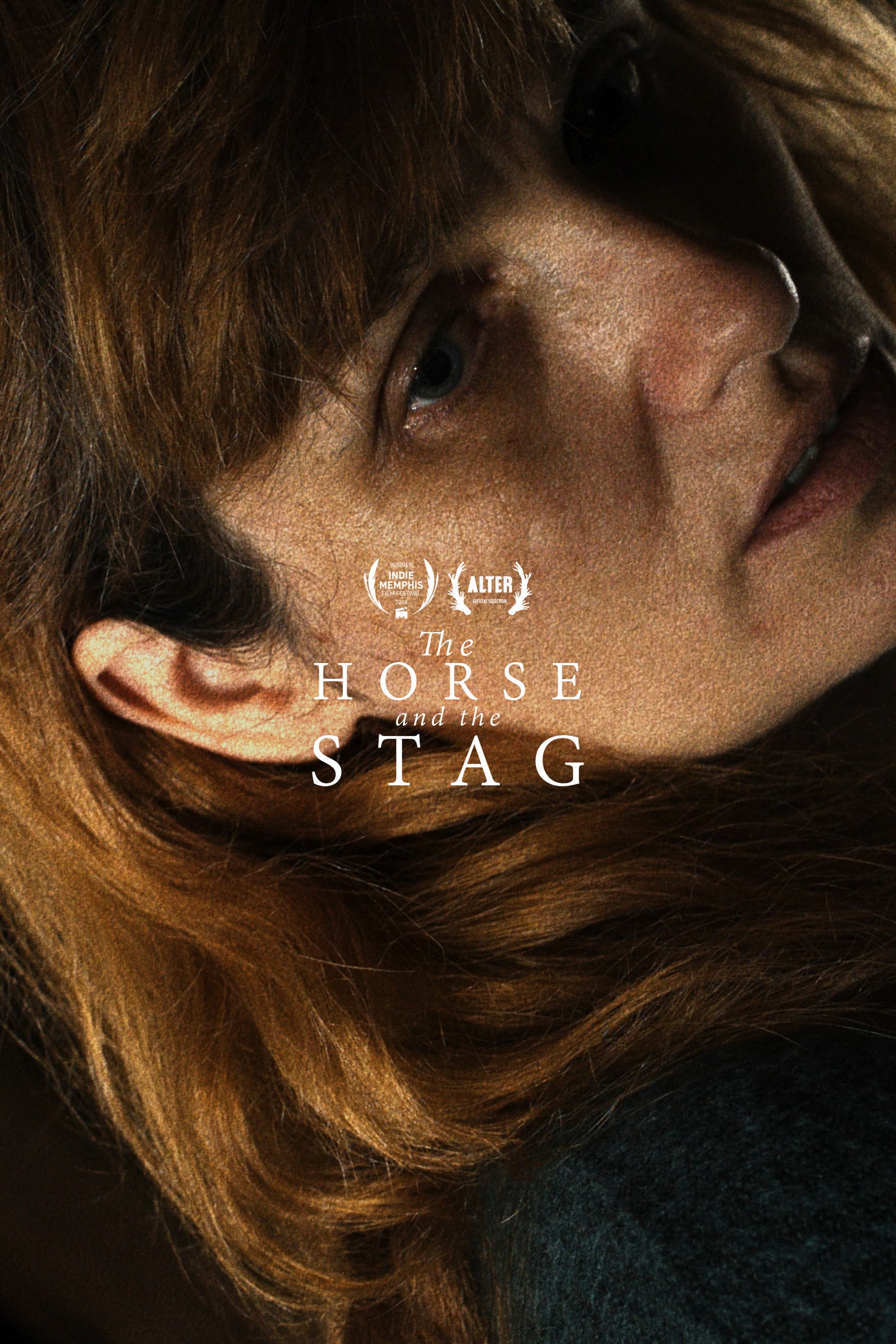 Poster backdrop for The Horse and the Stag