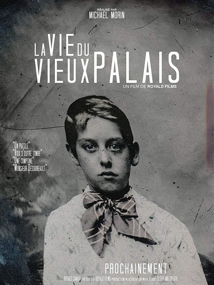 Poster backdrop for La Vie du Vieux Palais