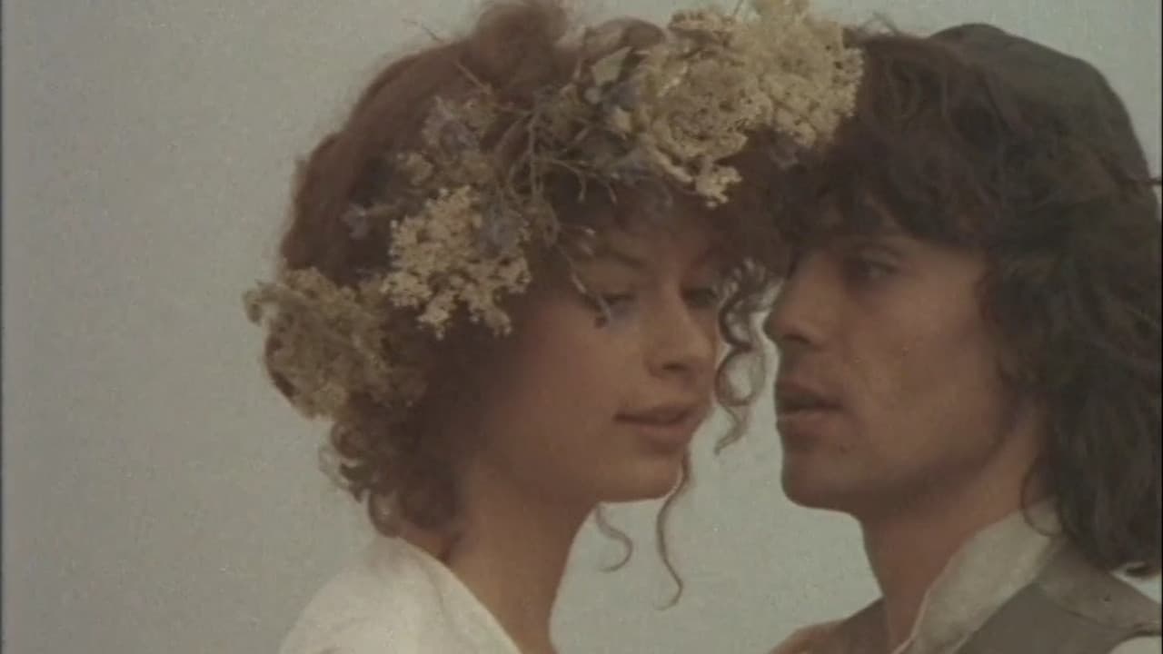 Poster backdrop for Wandering Stars