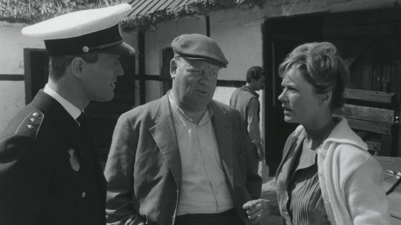 Poster backdrop for The Boy Who Loved Horses