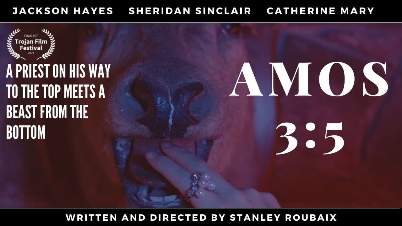 Poster backdrop for AMOS 3:5