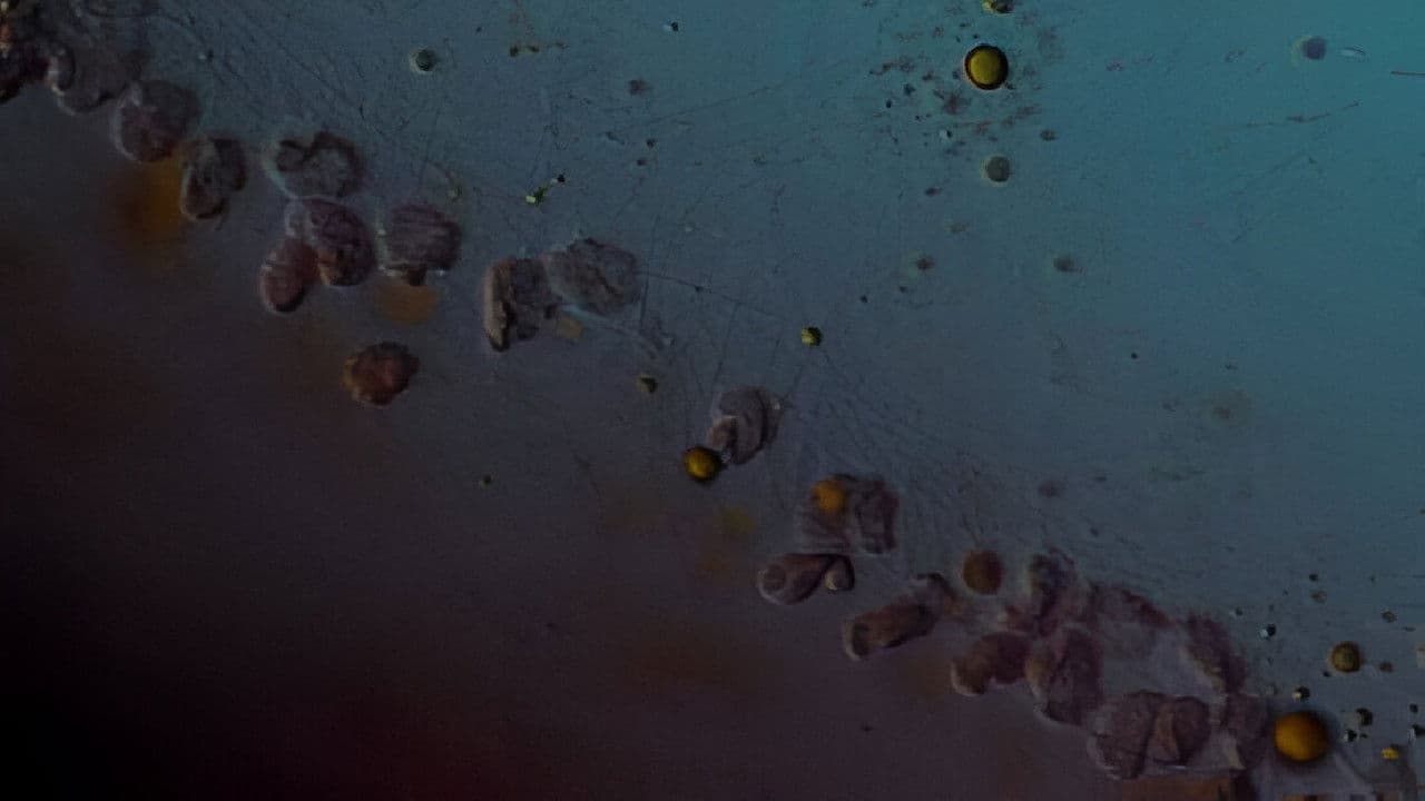 Poster backdrop for 12 Kilometers