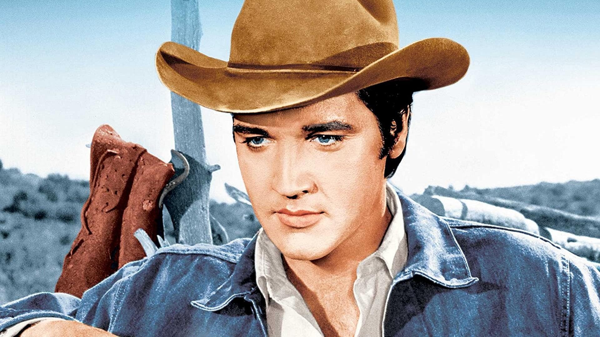 Poster backdrop for Stay Away, Joe