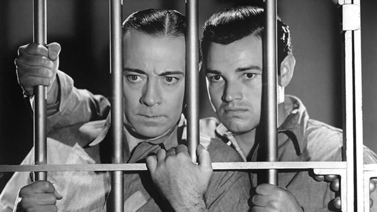 Poster backdrop for They All Come Out