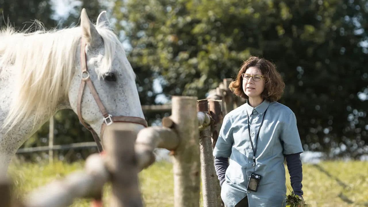 Poster backdrop for Buko