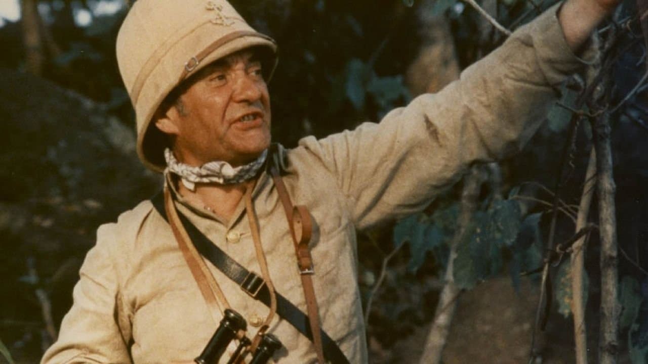 Poster backdrop for Black and White in Color