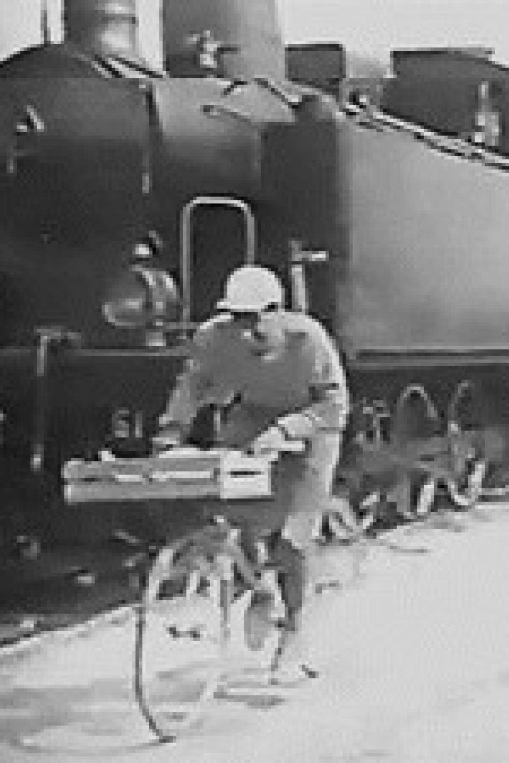 Poster backdrop for Nasce un campione