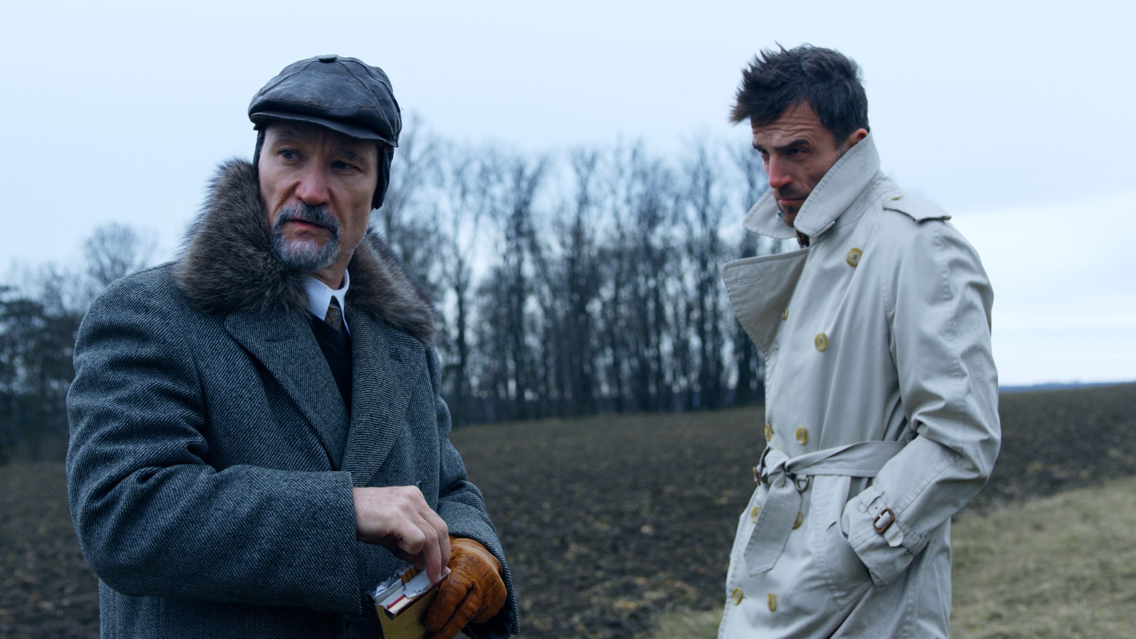 Poster backdrop for Discord of the Hyenas