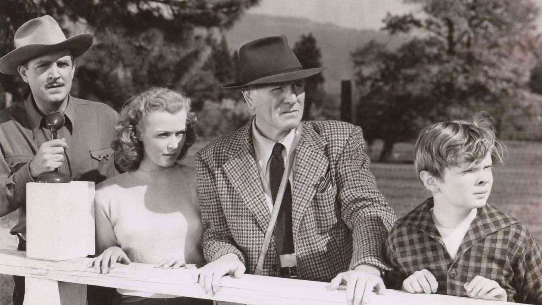 Poster backdrop for The Red Stallion