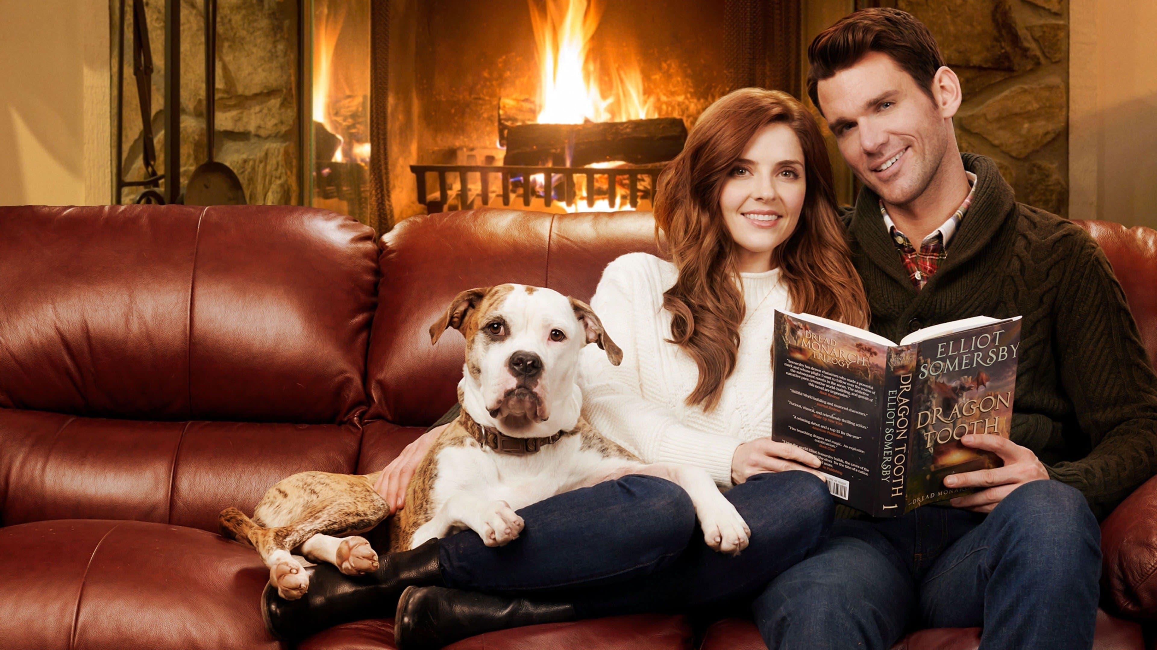 Poster backdrop for Winter Love Story