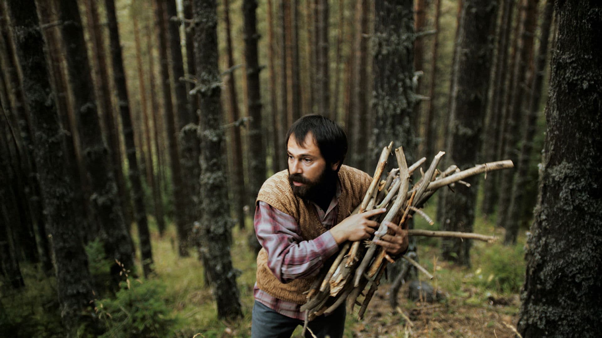 Poster backdrop for Watchtower