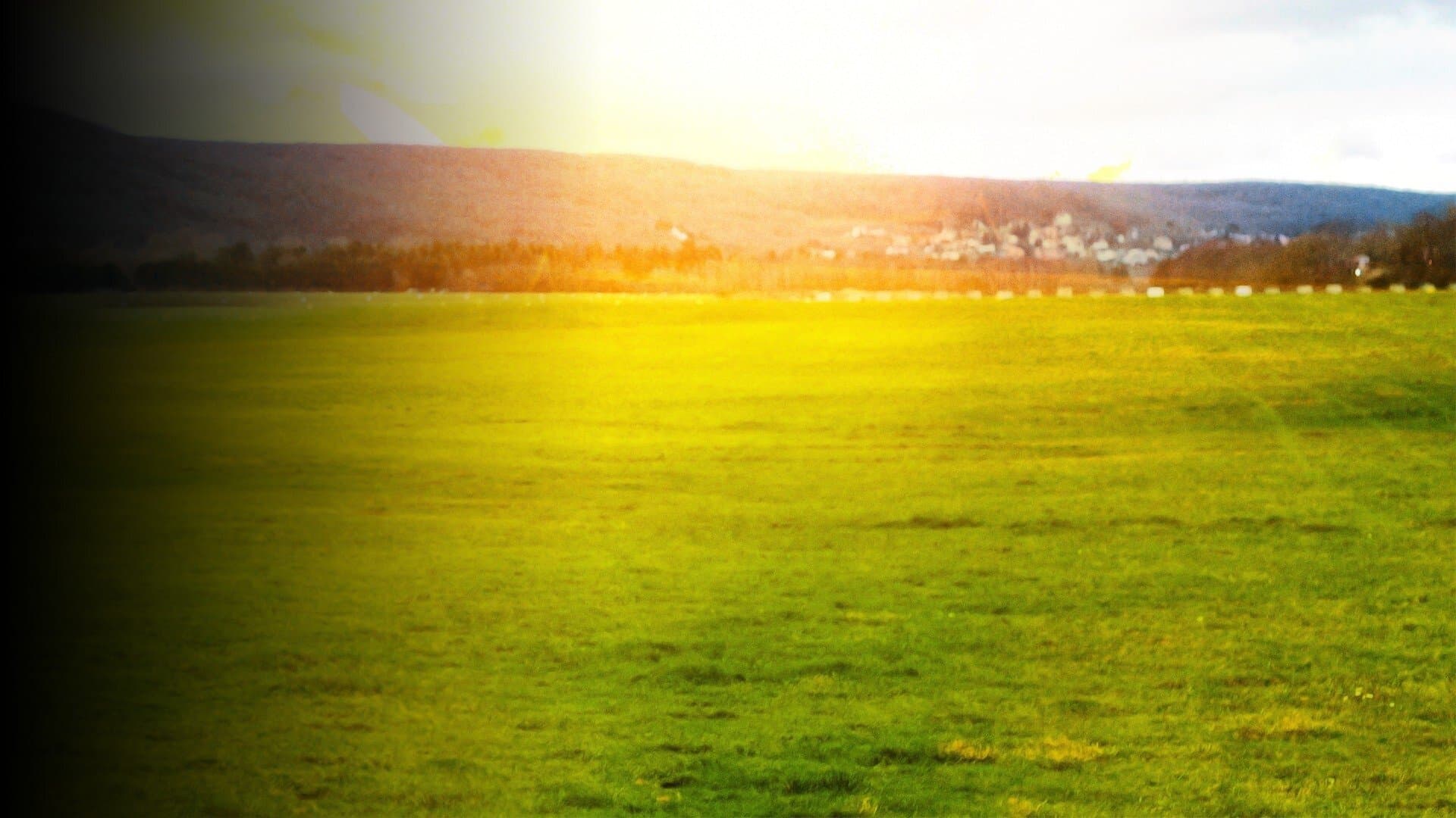 Poster backdrop for Above the Sky