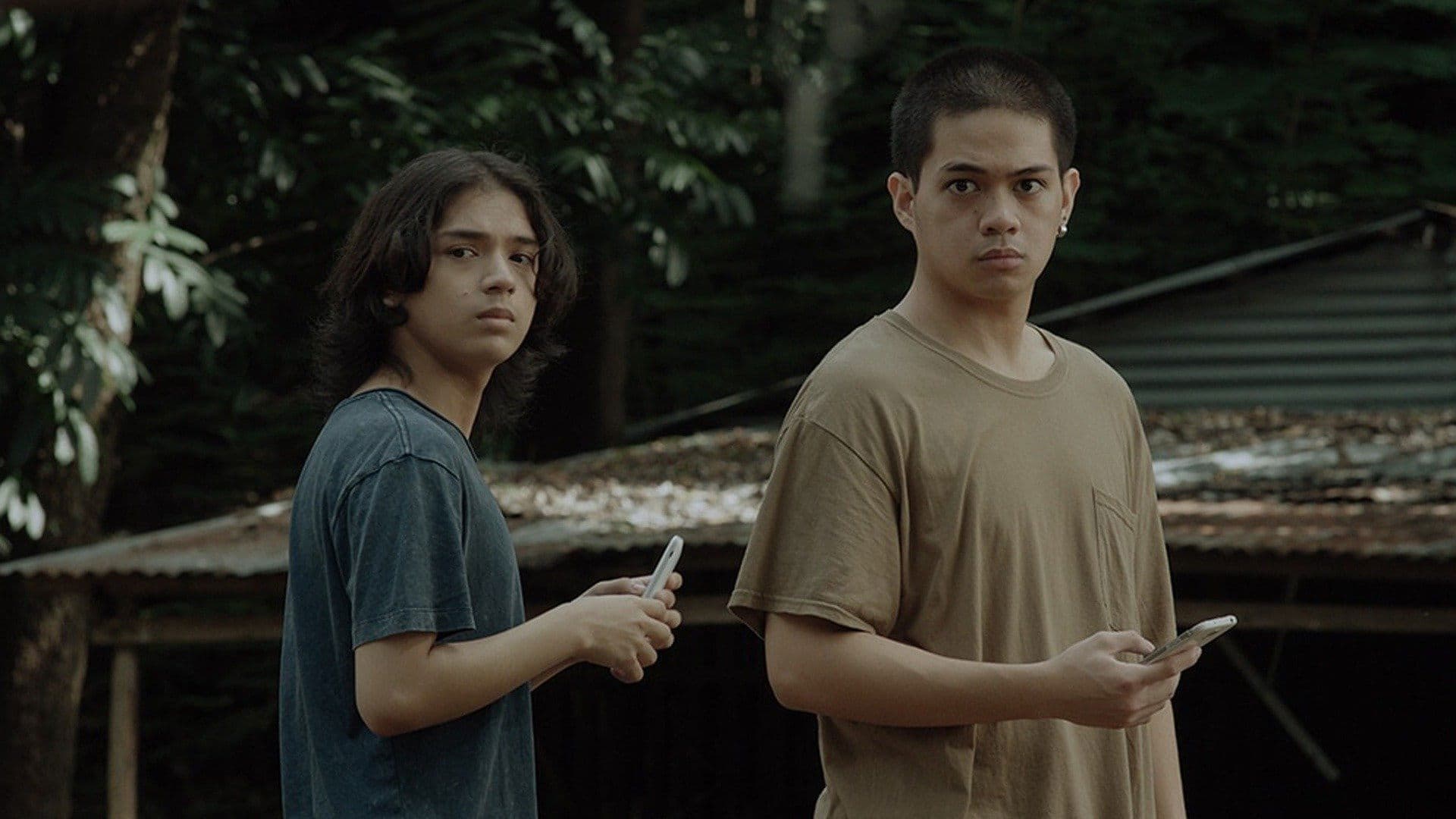 Poster backdrop for Tenement 66