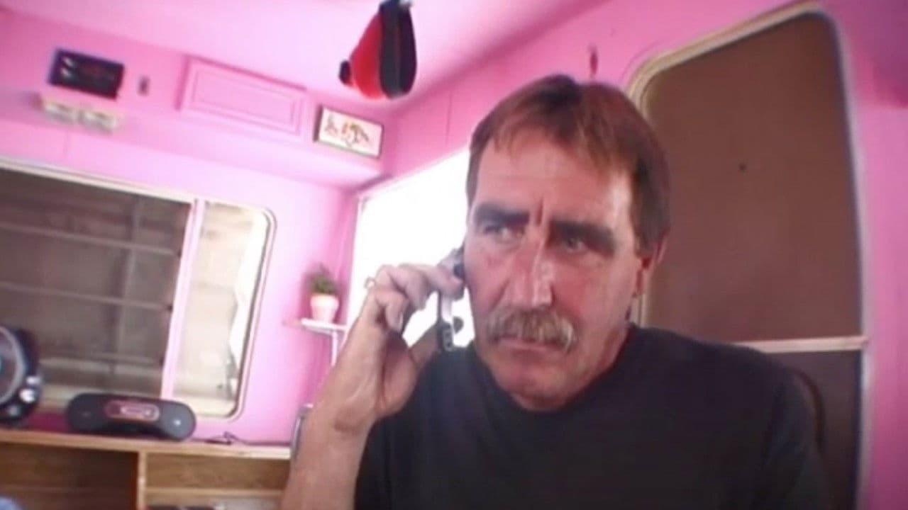 Poster backdrop for Doily's Summer of Freak Occurrences