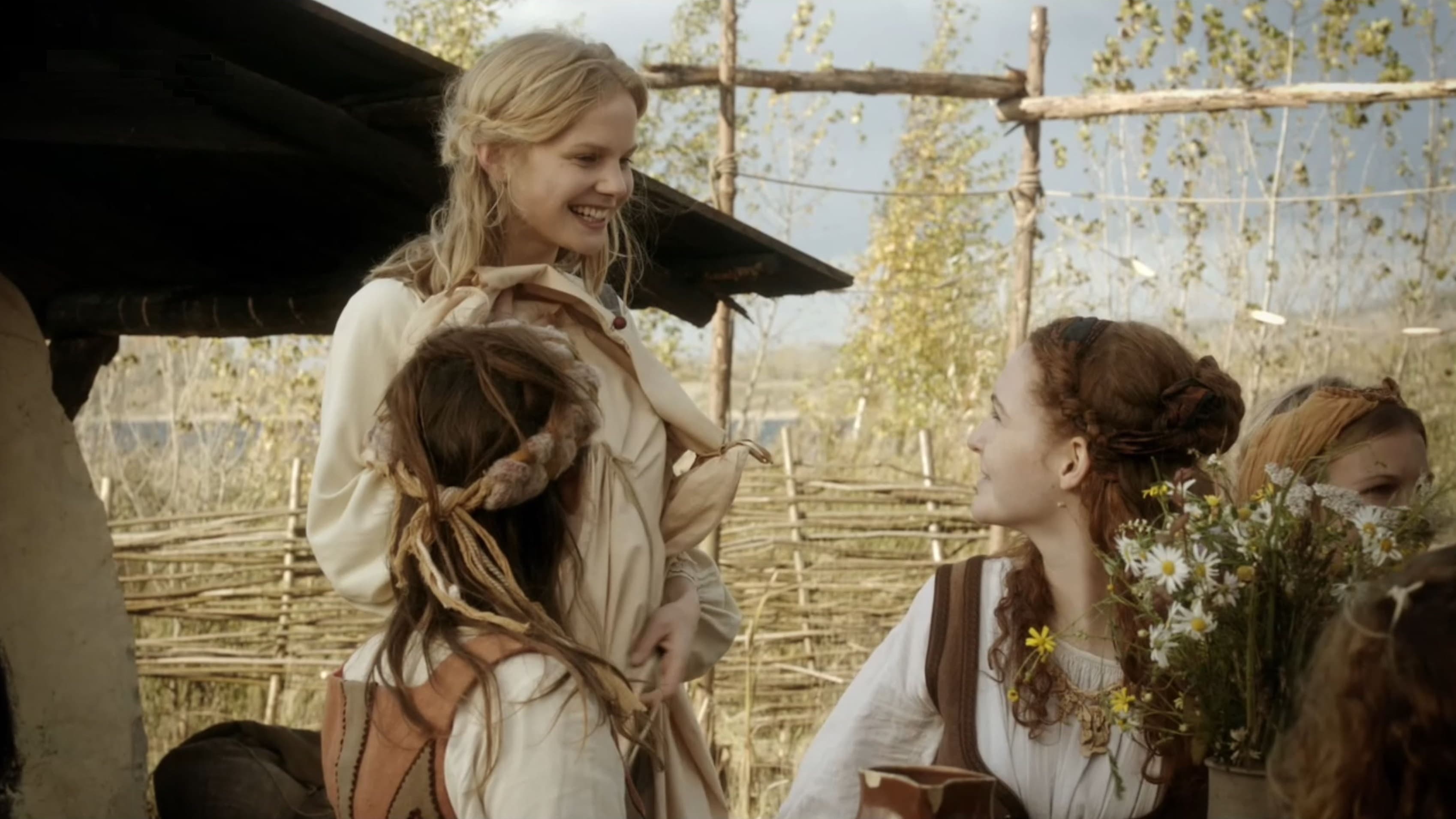 Poster backdrop for Die sechs Schwäne