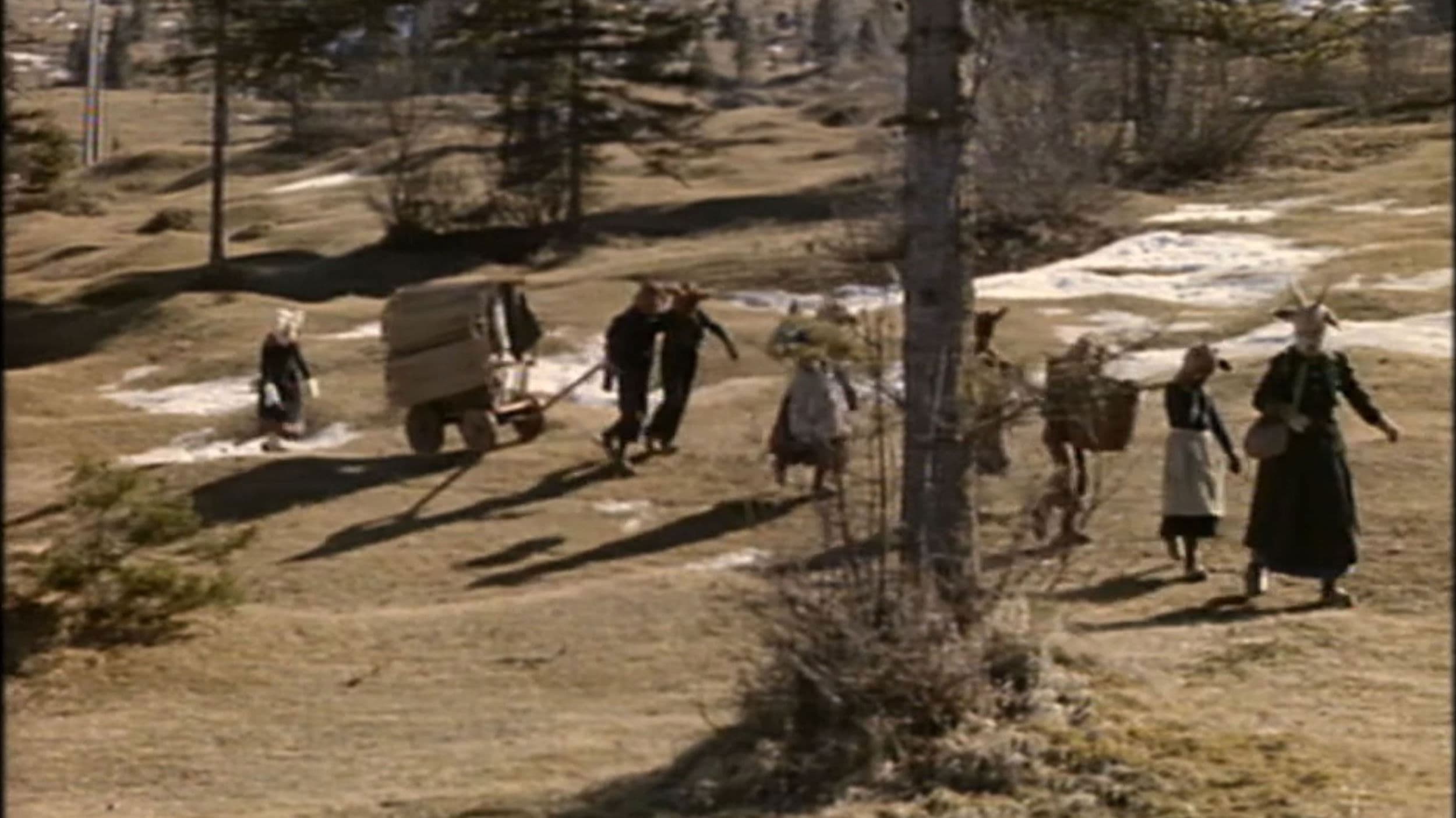 Poster backdrop for The Wolf and the Seven Little Goats