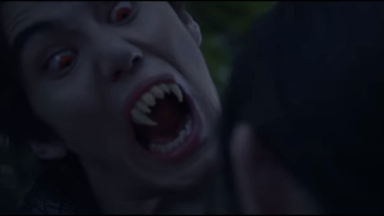 Poster backdrop for Bye Bye Vamp