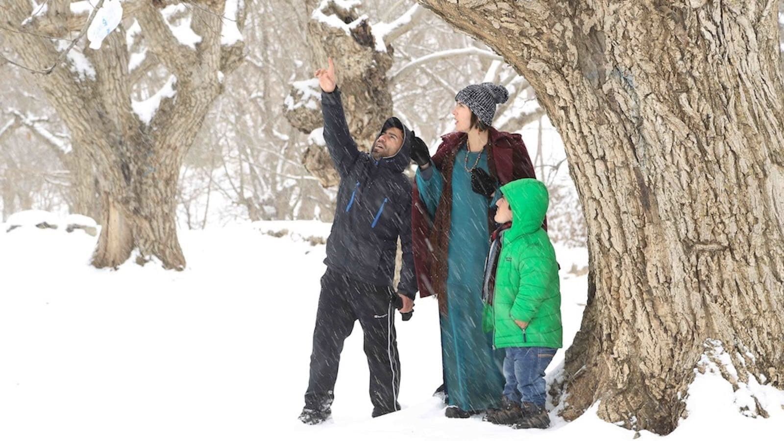 Poster backdrop for The Classic