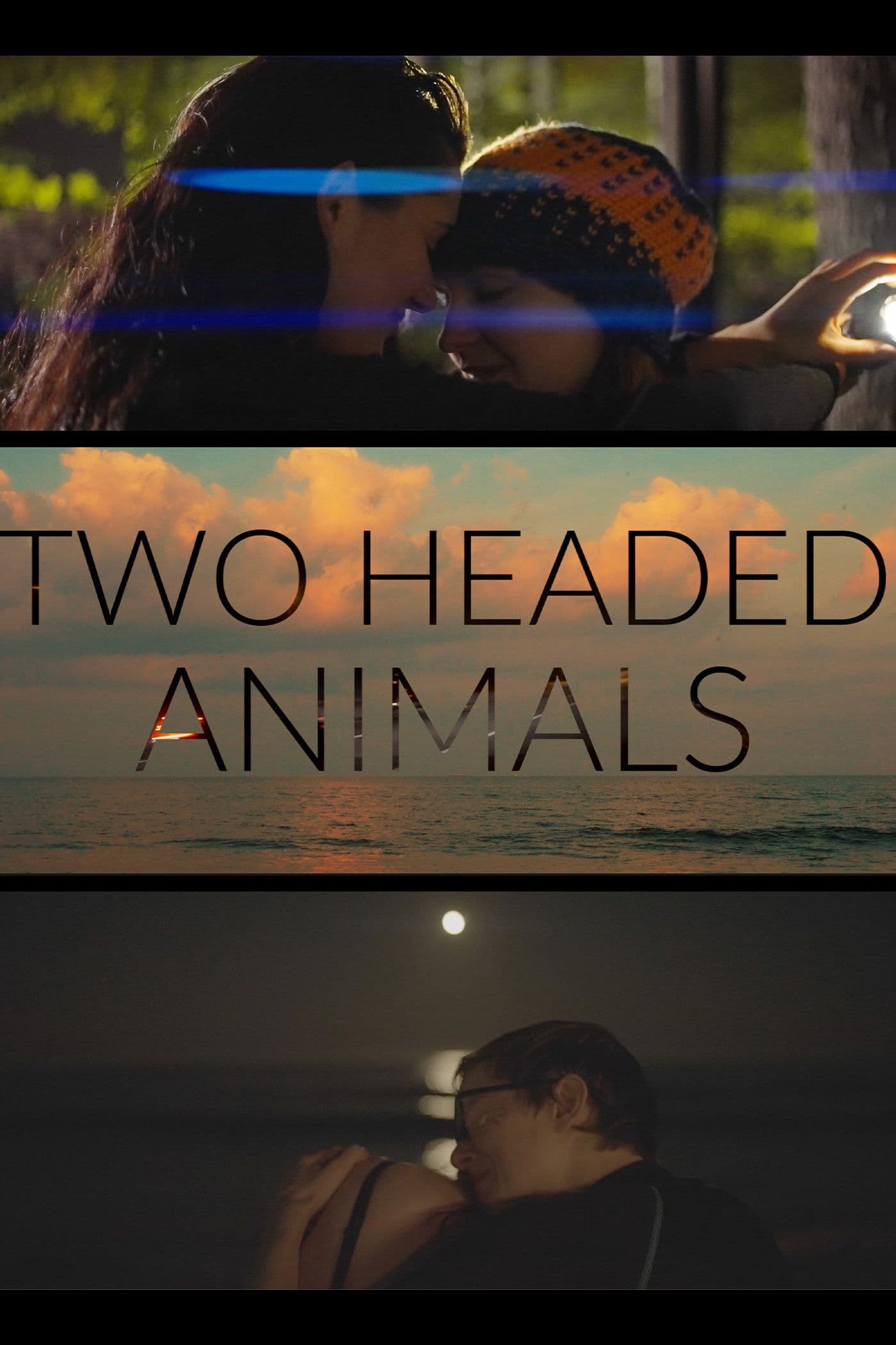 Poster backdrop for Two Headed Animals