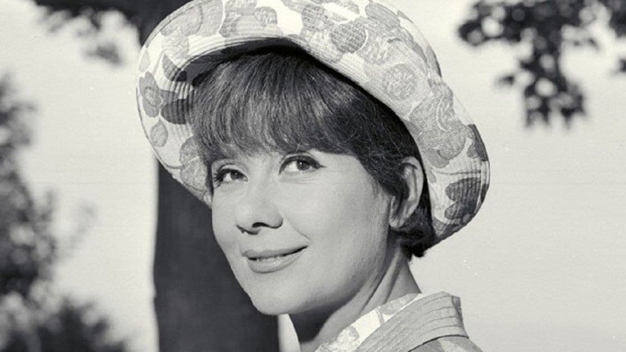 Poster backdrop for Story of My Foolishness