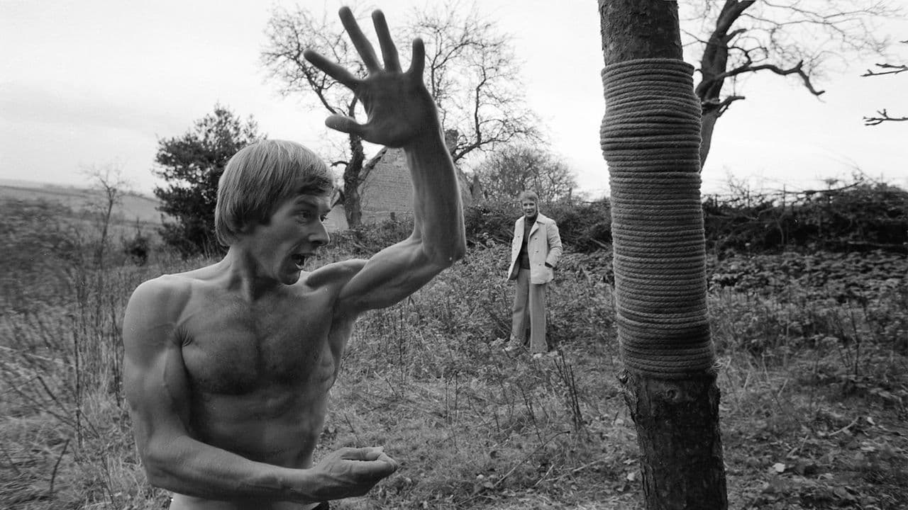 Poster backdrop for Robin Redbreast