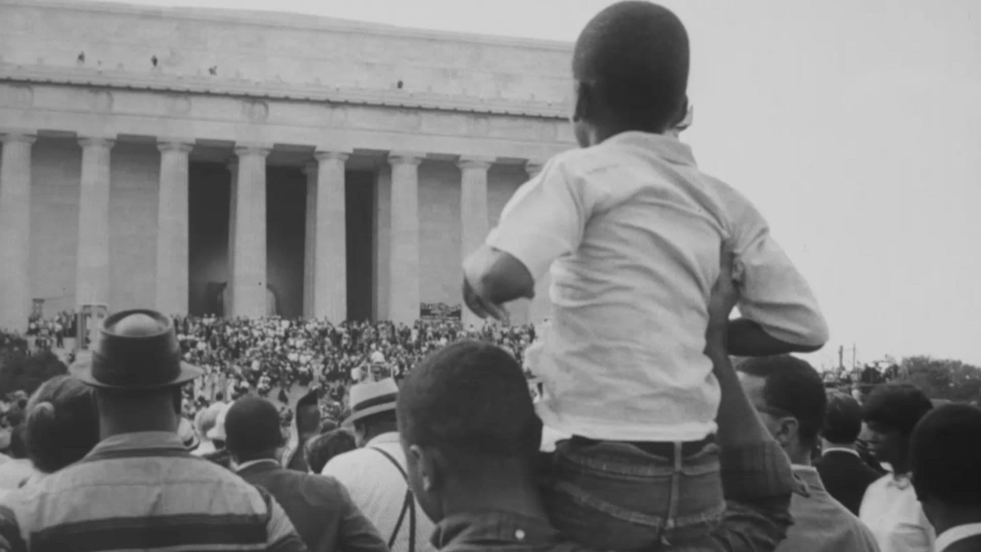 Poster backdrop for Wealth of a Nation