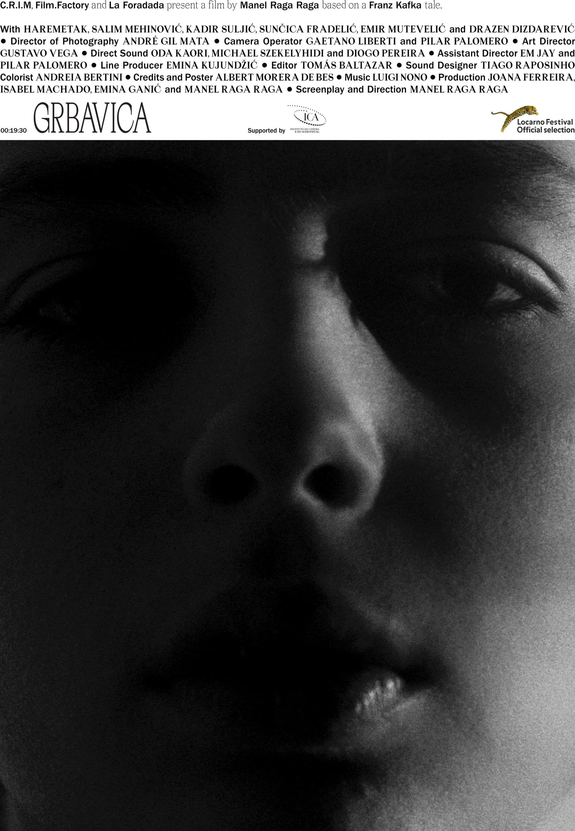 Poster backdrop for Grbavica