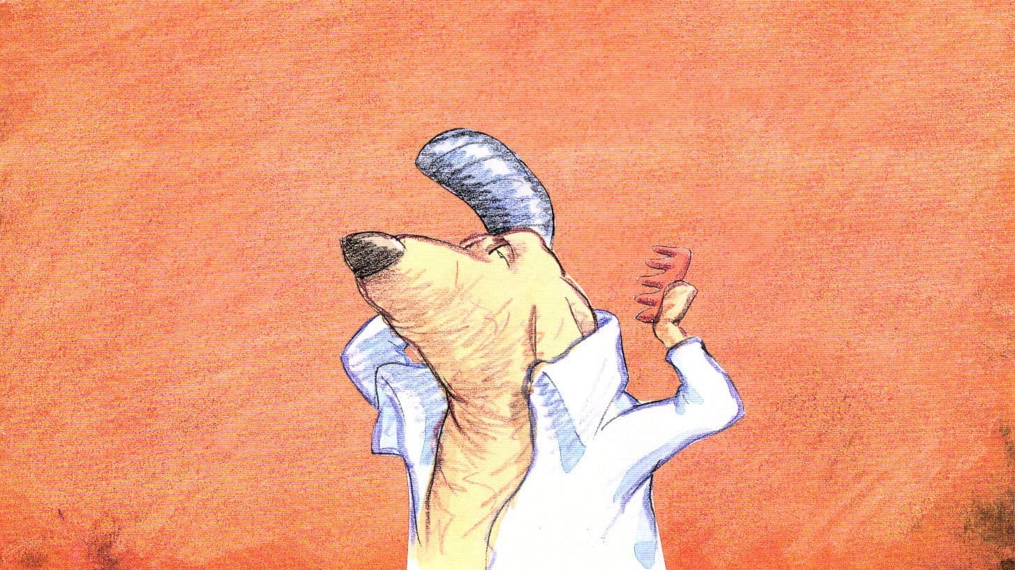 Poster backdrop for Dig My Do