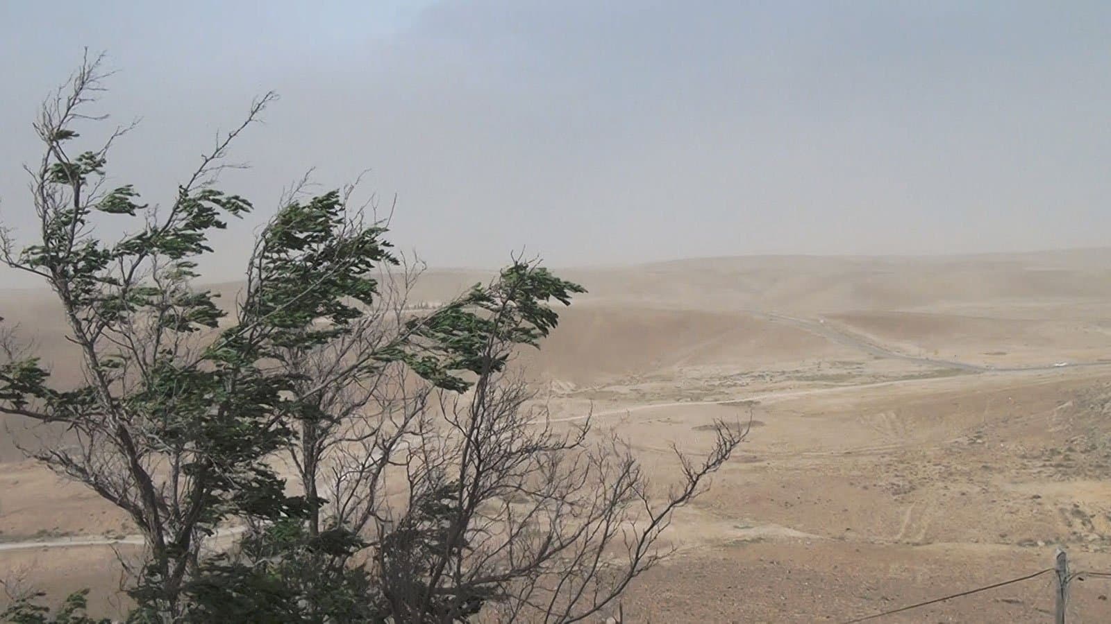 Poster backdrop for No Home Movie