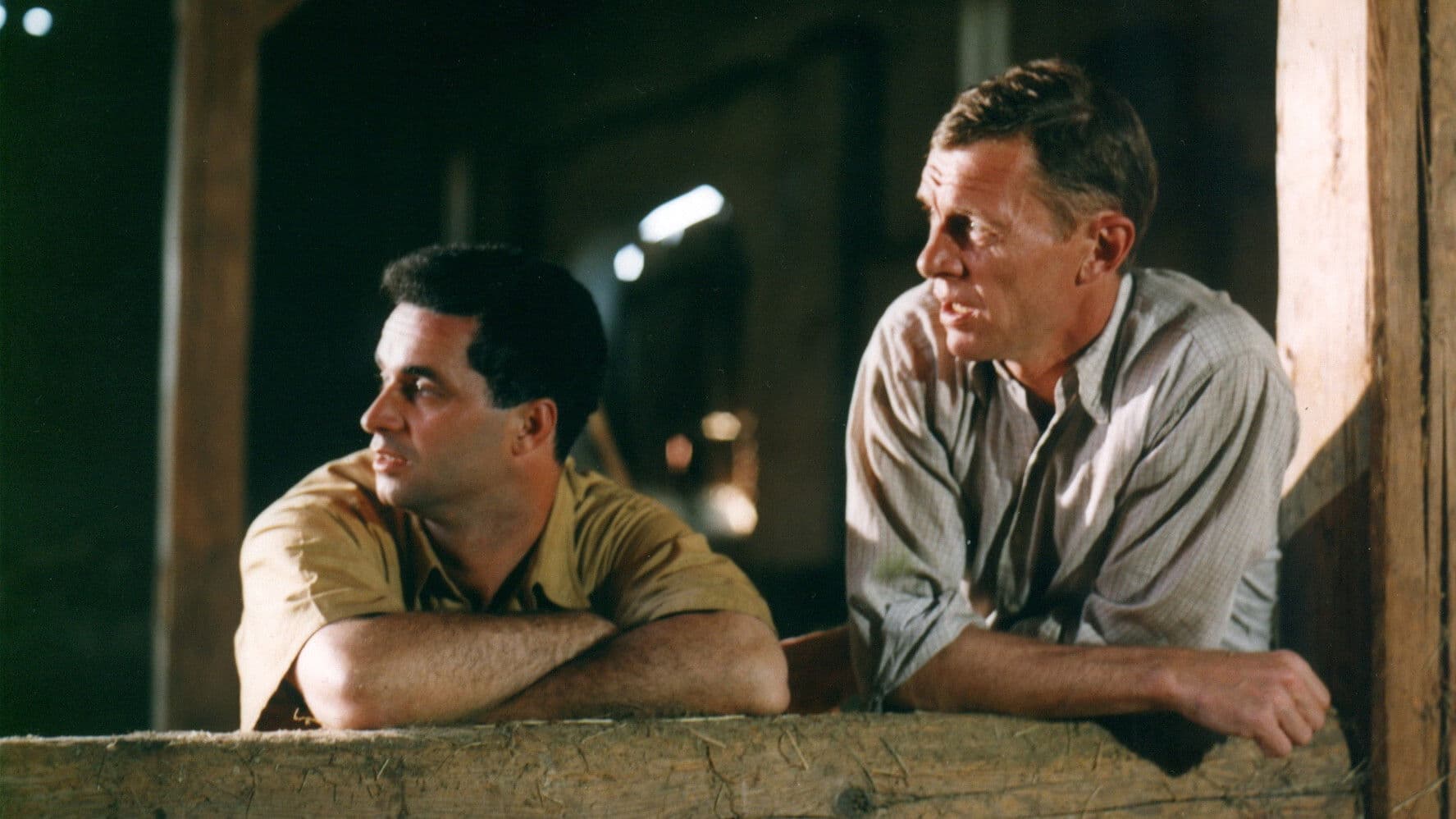 Poster backdrop for Zdivočelá země