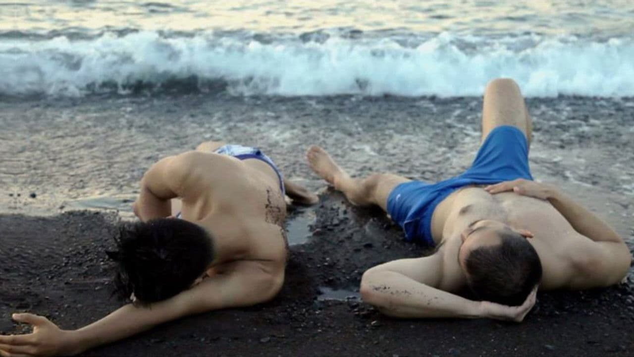 Poster backdrop for The Sun, the Moon and the Hurricane