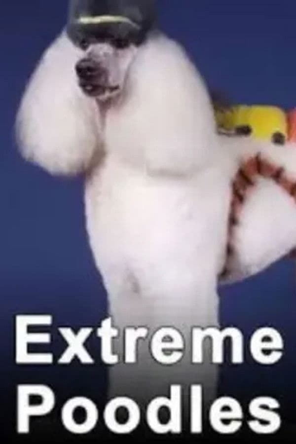 Poster backdrop for Extreme Poodles