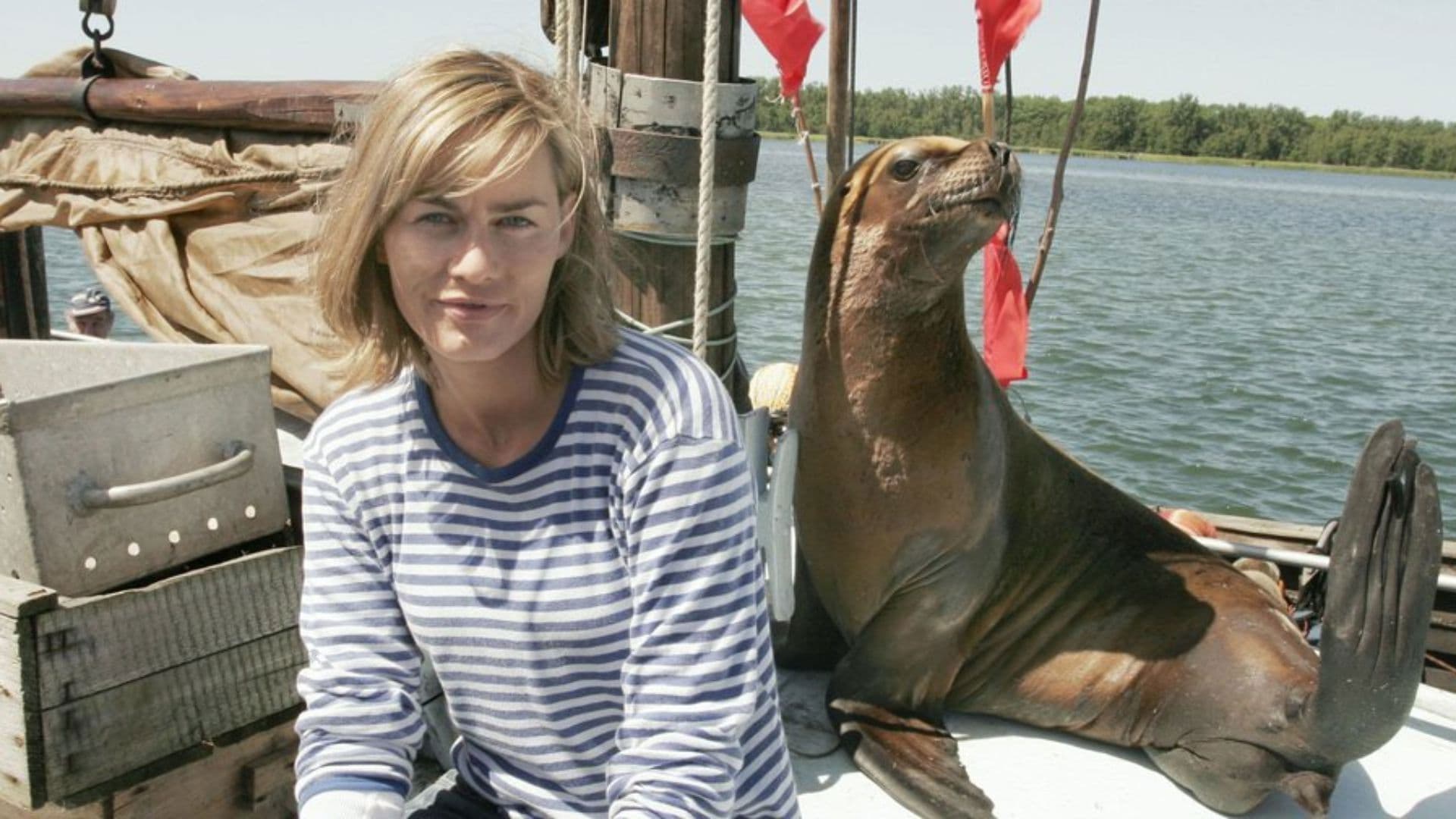 Poster backdrop for Eine Robbe und das große Glück