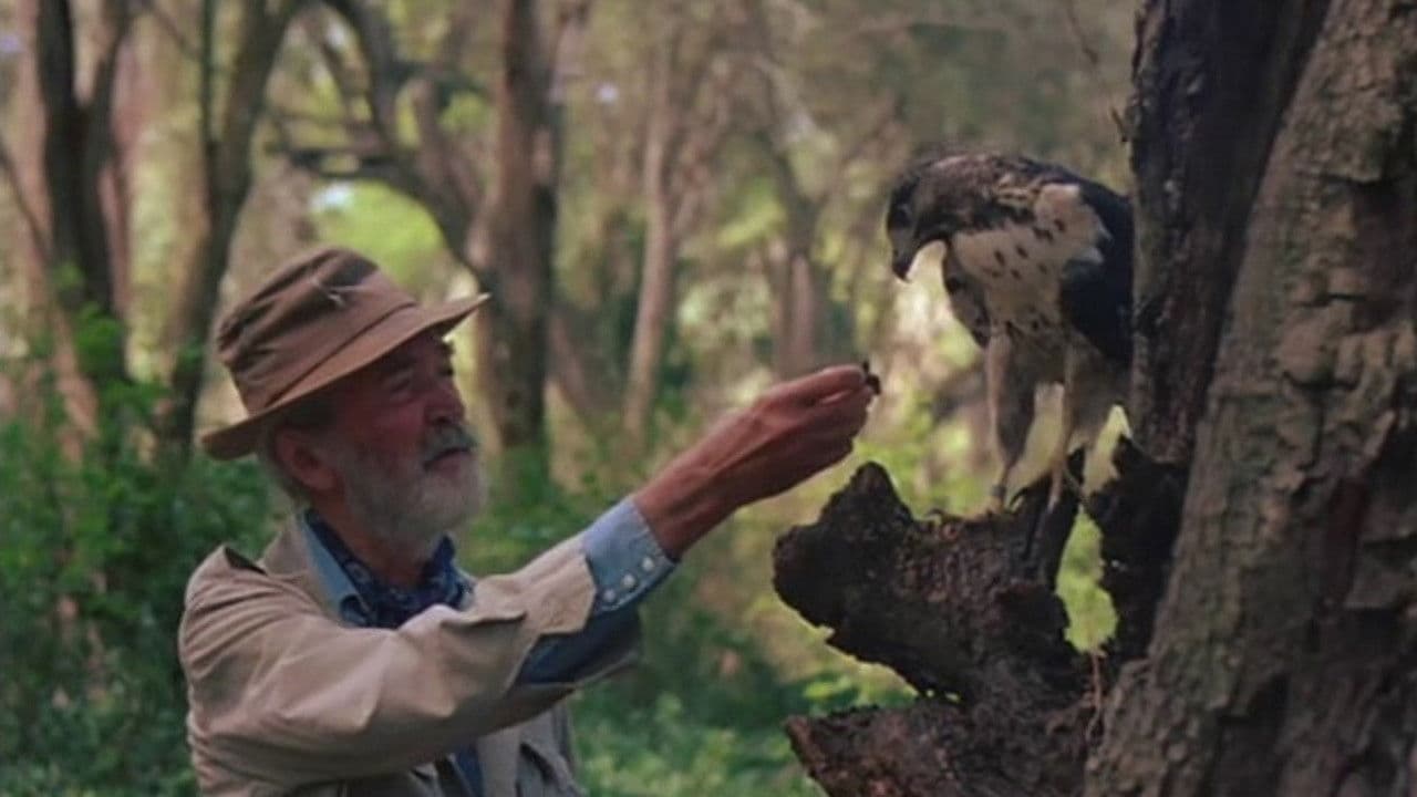 Poster backdrop for A Tale of Africa