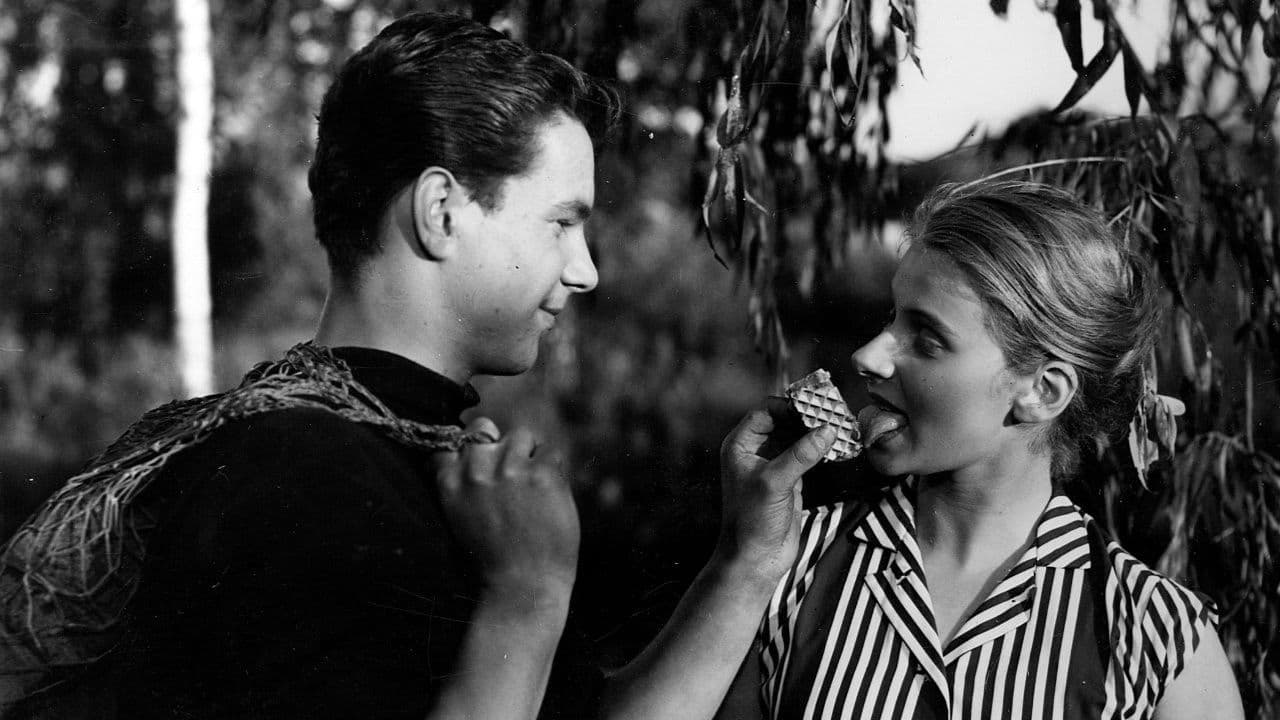 Poster backdrop for Old Boat and Young Love