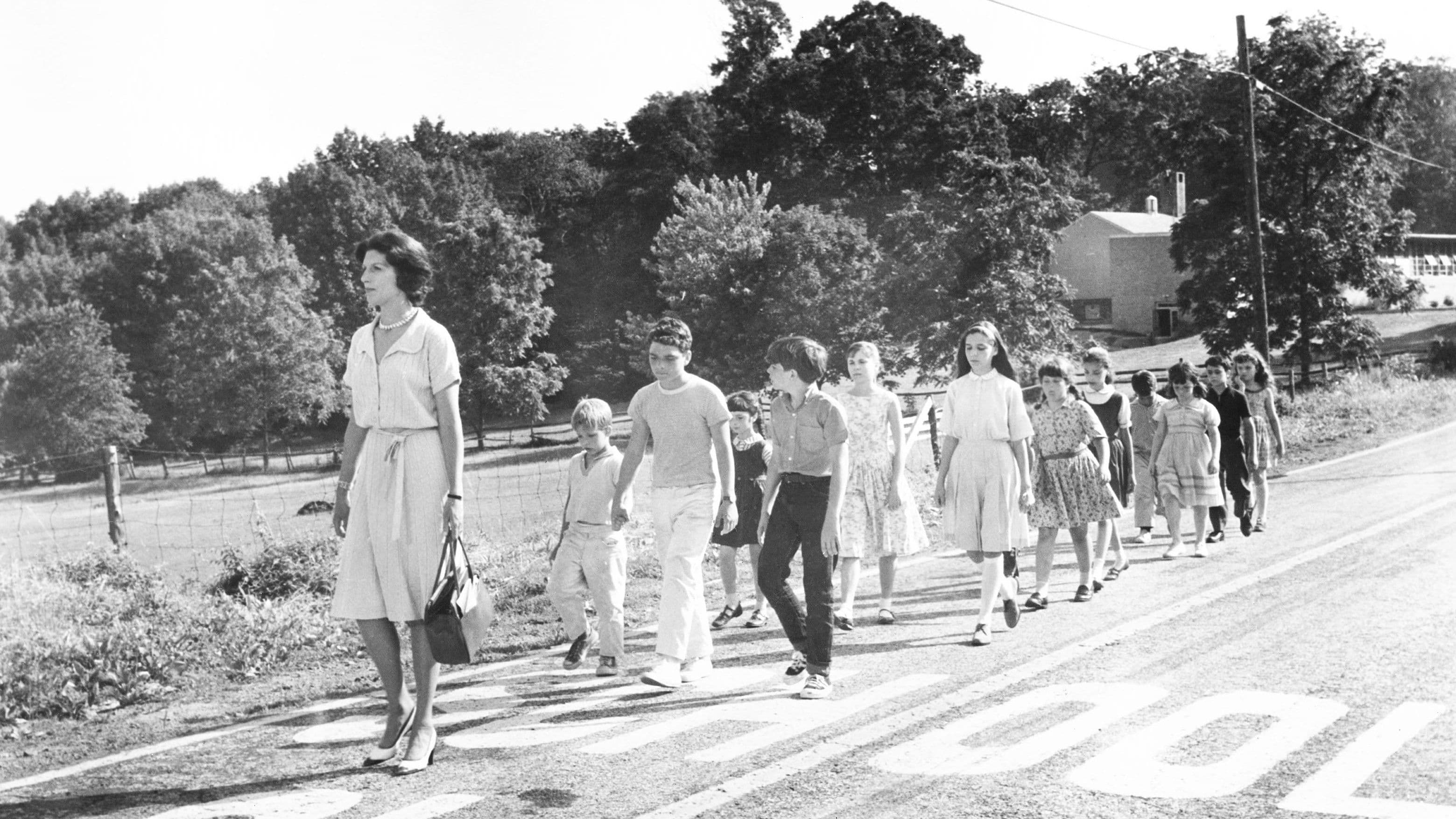 Poster backdrop for Ladybug Ladybug