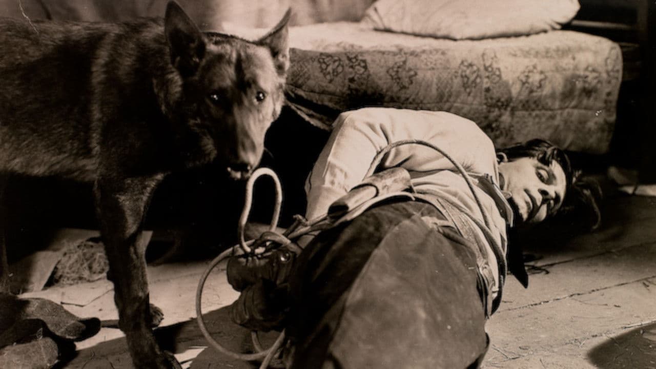 Poster backdrop for Fangs of Destiny