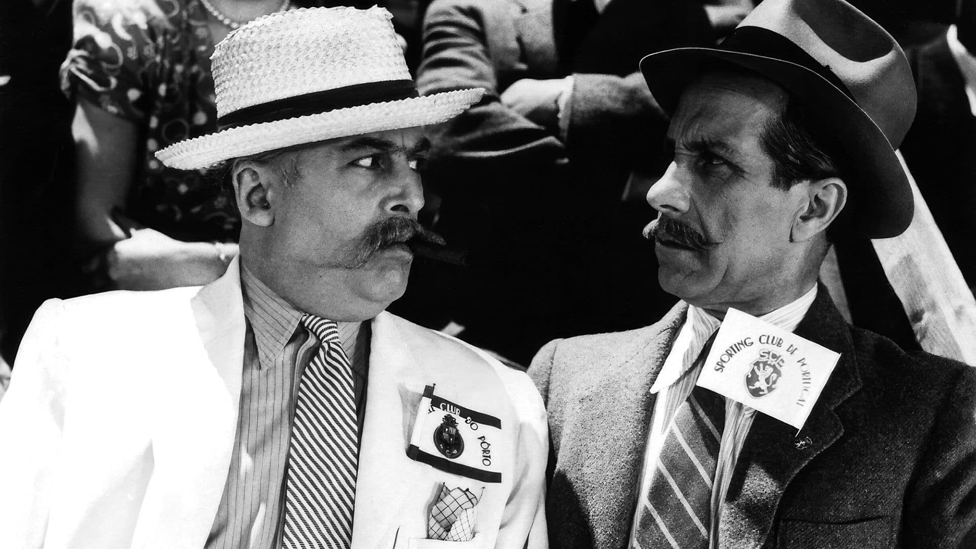 Poster backdrop for The Lion from Estrela