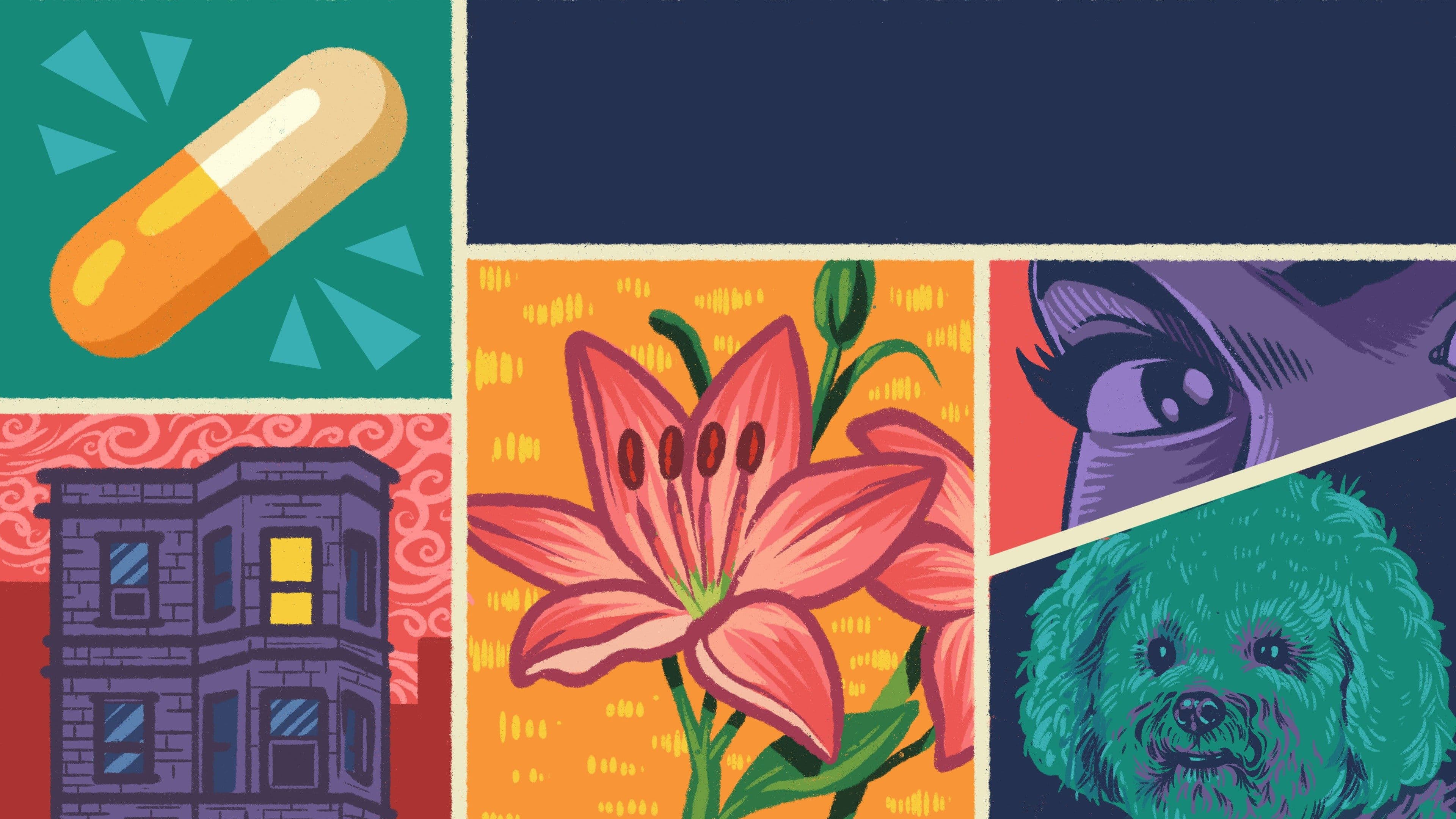 Poster backdrop for That Night