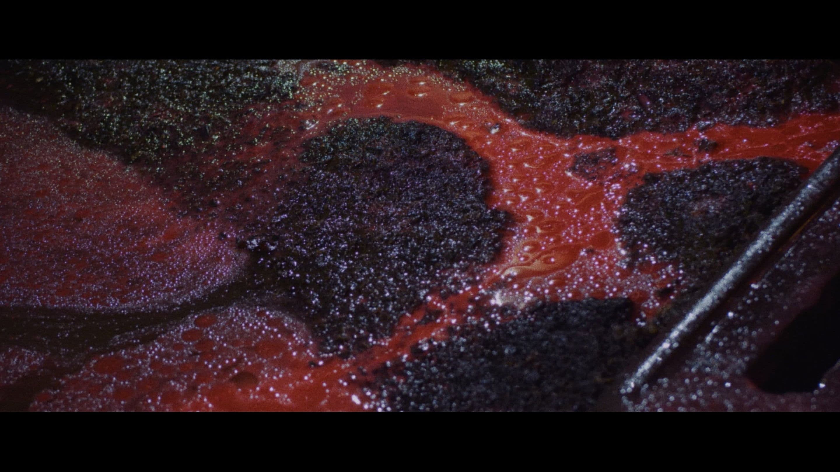 Poster backdrop for The Five Fingers of a Dog