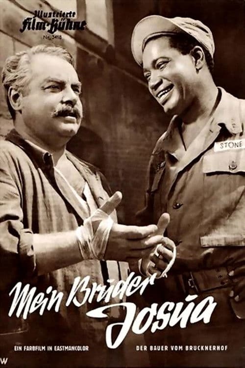 Poster backdrop for The Farmer from Brucknerhof