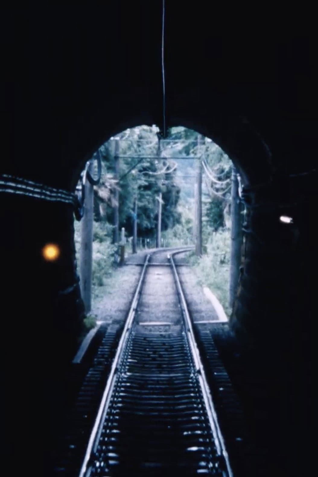 Poster backdrop for Howling