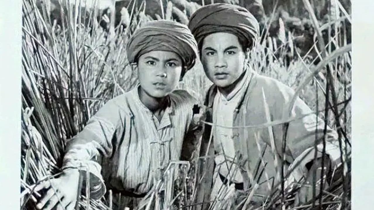 Poster backdrop for The Fire Boy