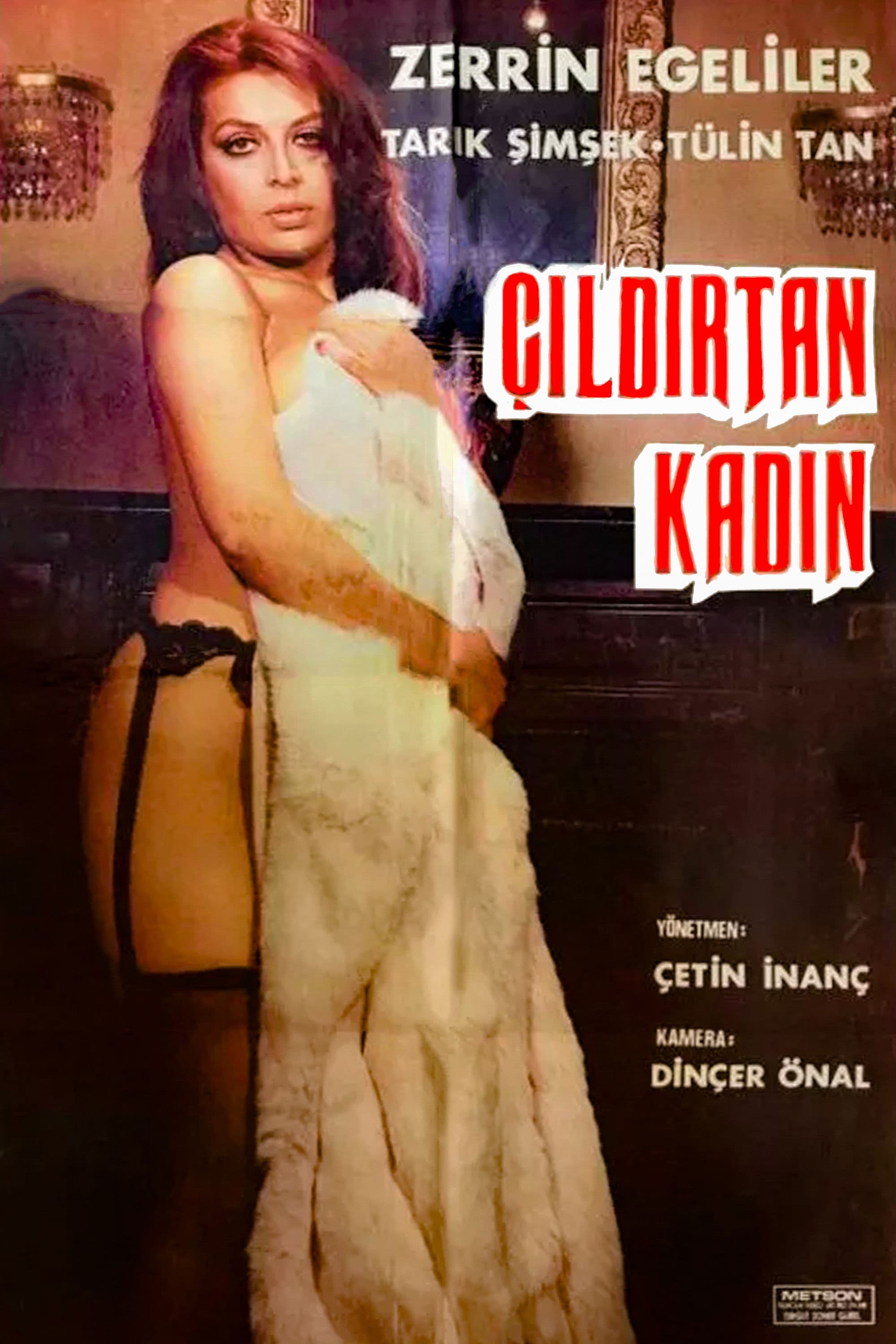 Poster backdrop for Çıldırtan Kadın