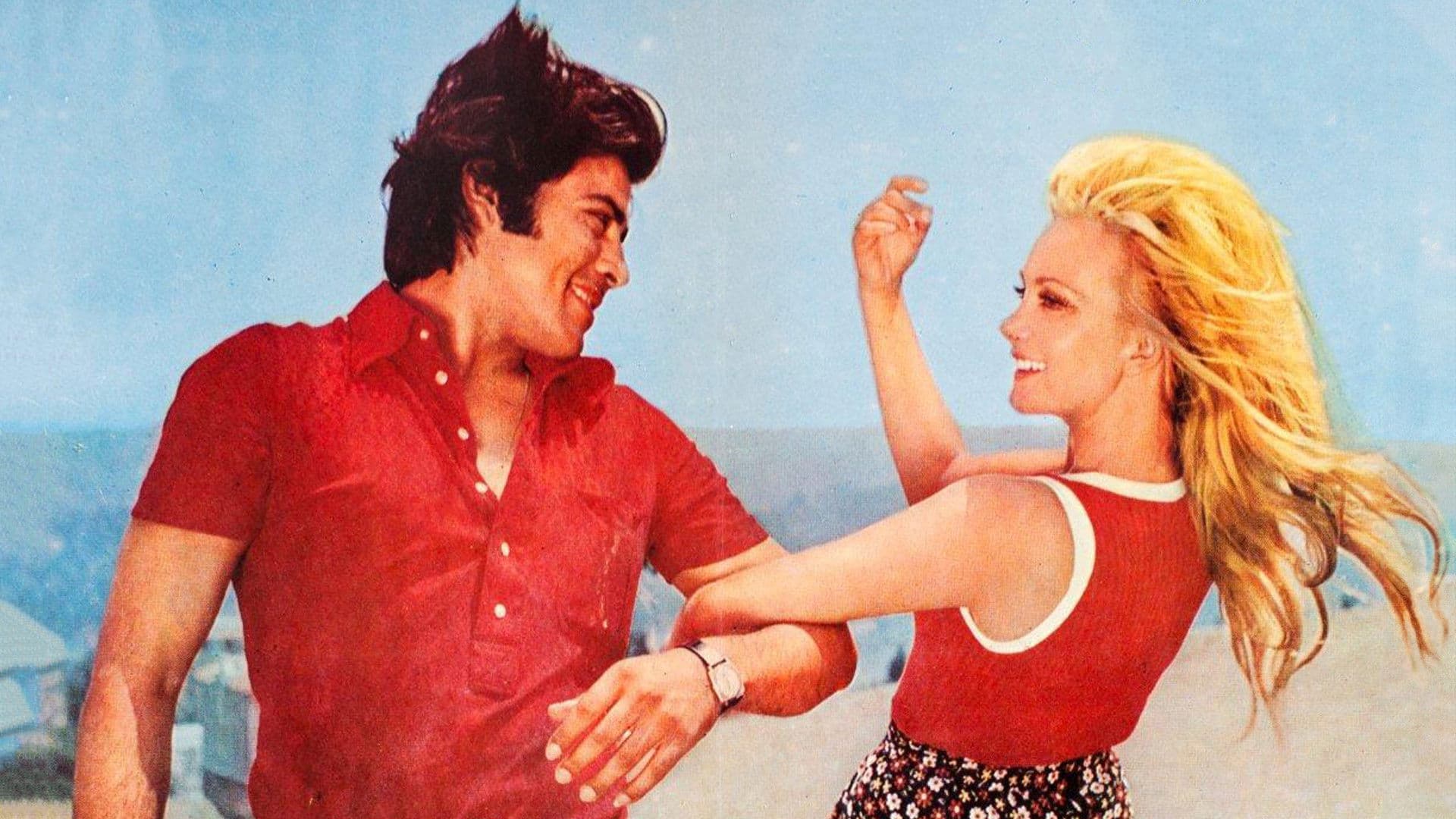 Poster backdrop for The Beautiful Chauffeur